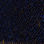 die_disziplinierten_002