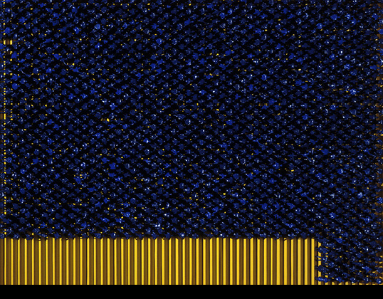 die_disziplinierten_015